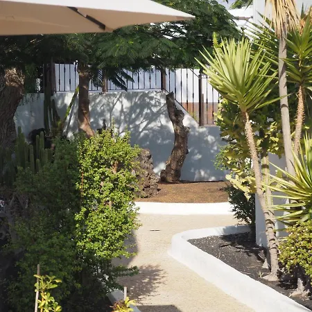 Apartment Sea View With Direct Access To Boulevard Puerto del Carmen (Lanzarote)